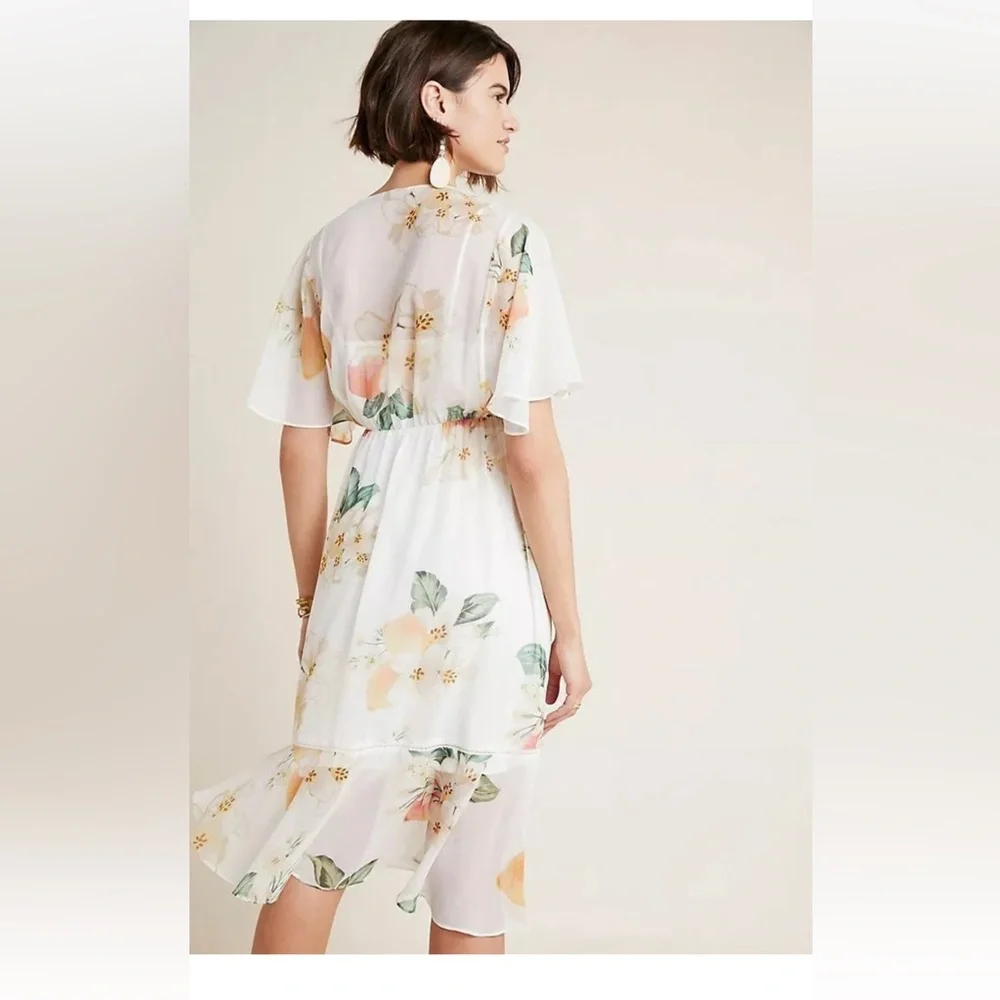 Farm Rio Eloisa Sheer Floral Dress Empire Waist size Small MSRP $280 - Picture 2 of 8